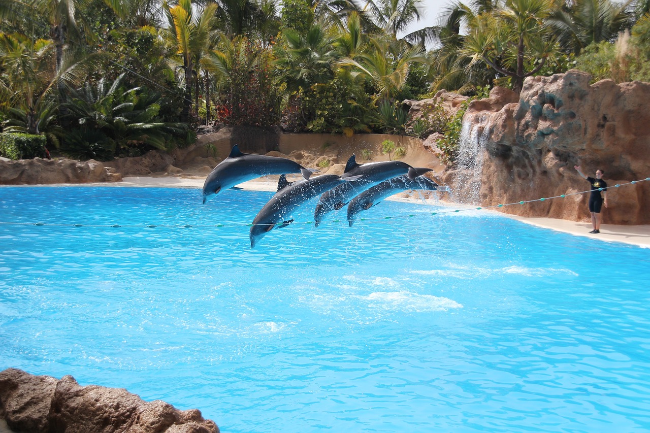 Loro Park i Tenerife